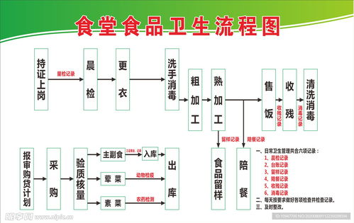 食堂食品卫生流程图设计图